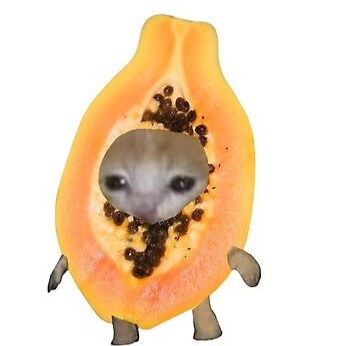Mary Had A Little Papaya artwork