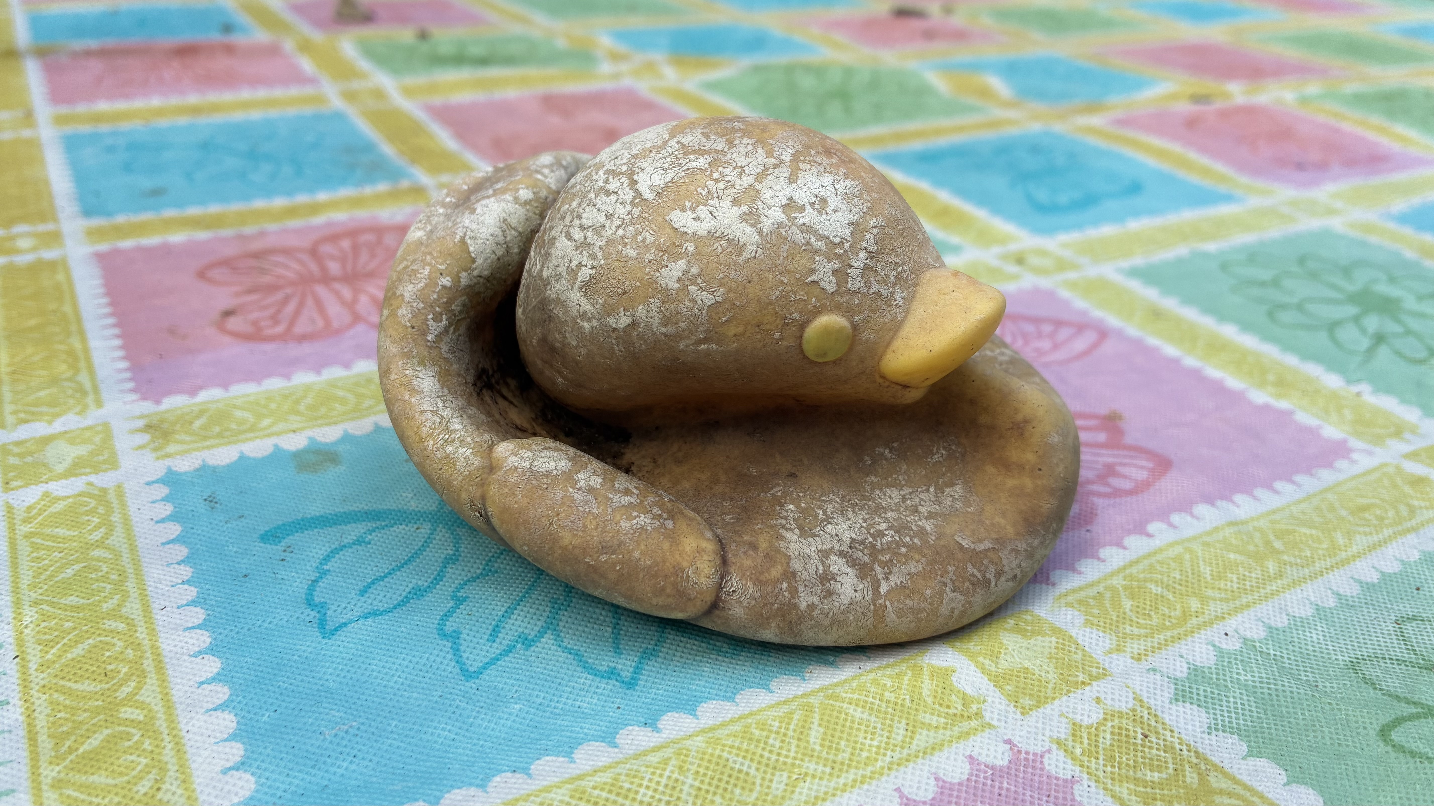 Petrified Rubber Ducky artwork