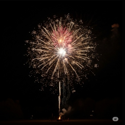 Image for Wisdom from the Mouth of Many