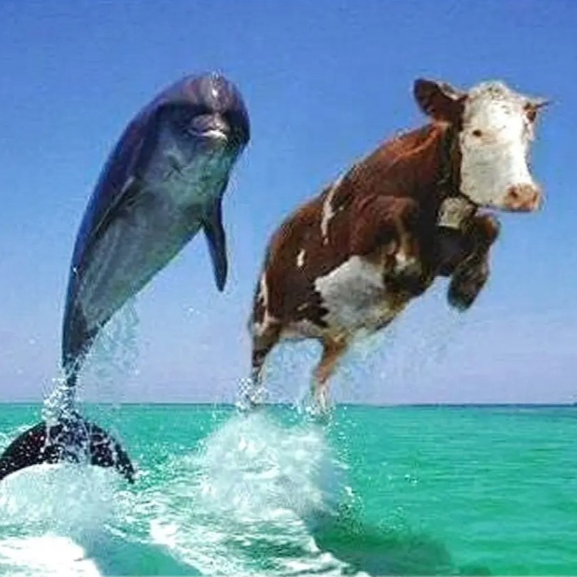 Image for création variés 