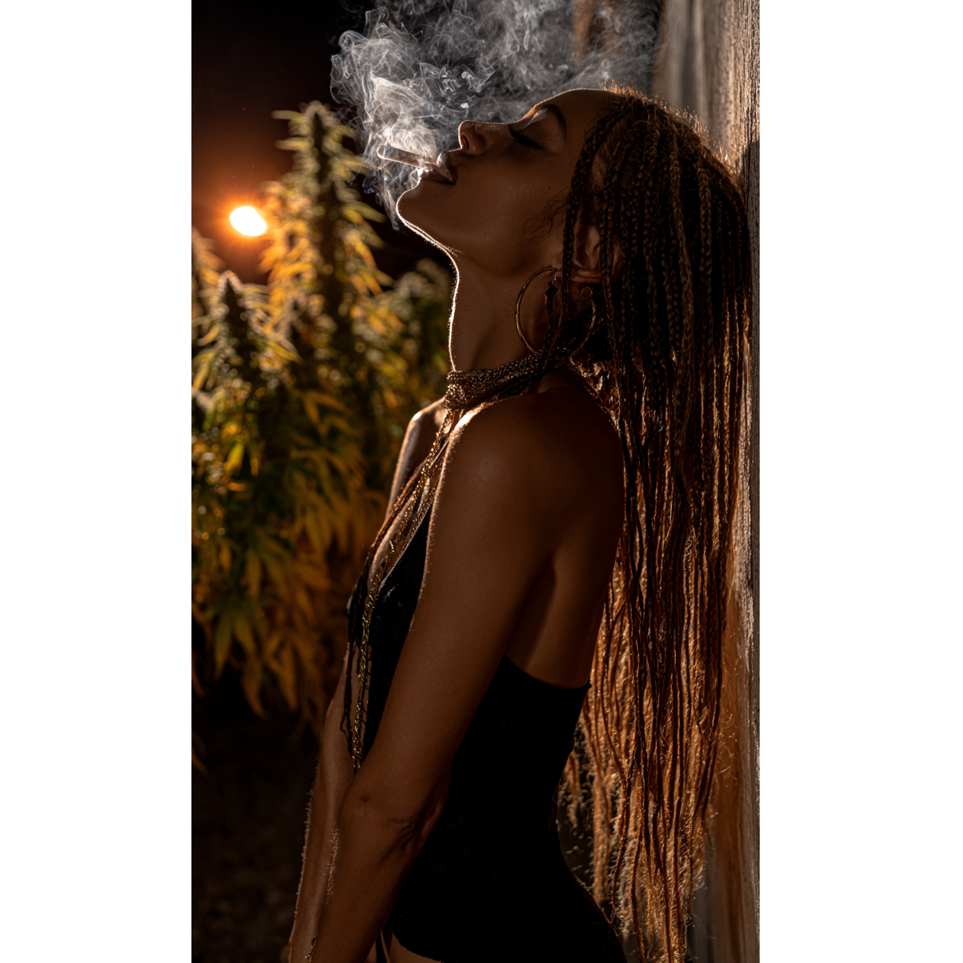 Super Queen Haze 2
