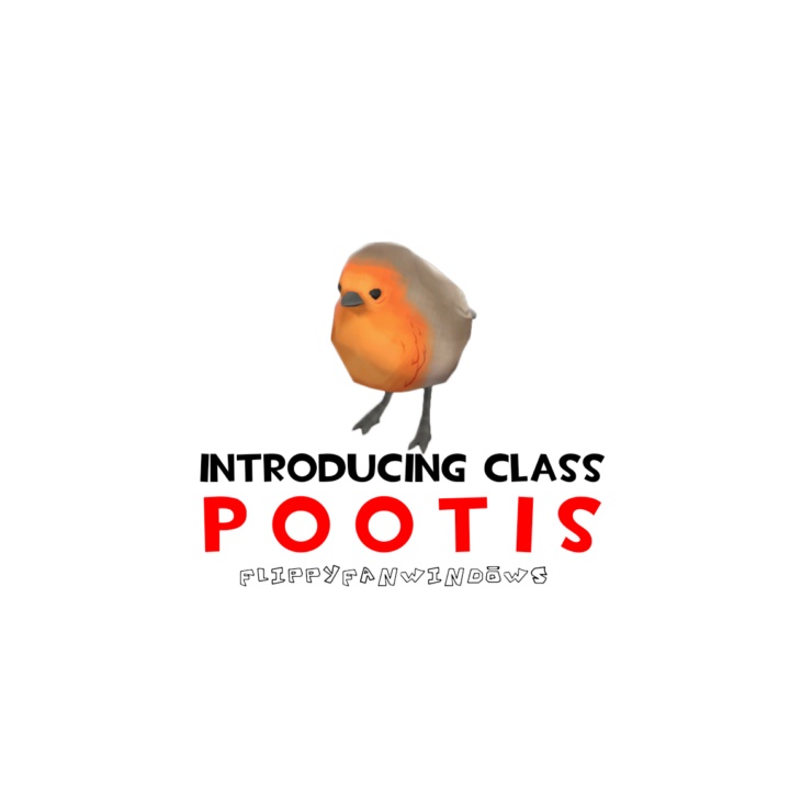 Image for Introducing Class: POOTIS