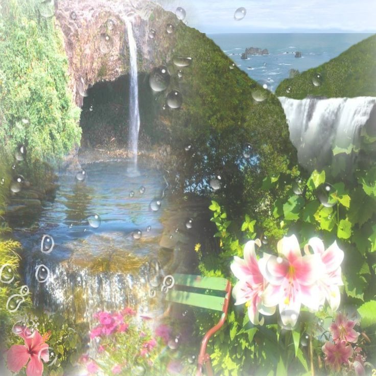 willow sample artwork