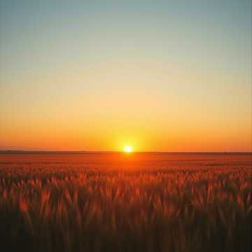 Image for Southern Sunsets