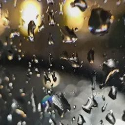 Profile picture for Uspehmoy