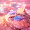 Serial Dreamer