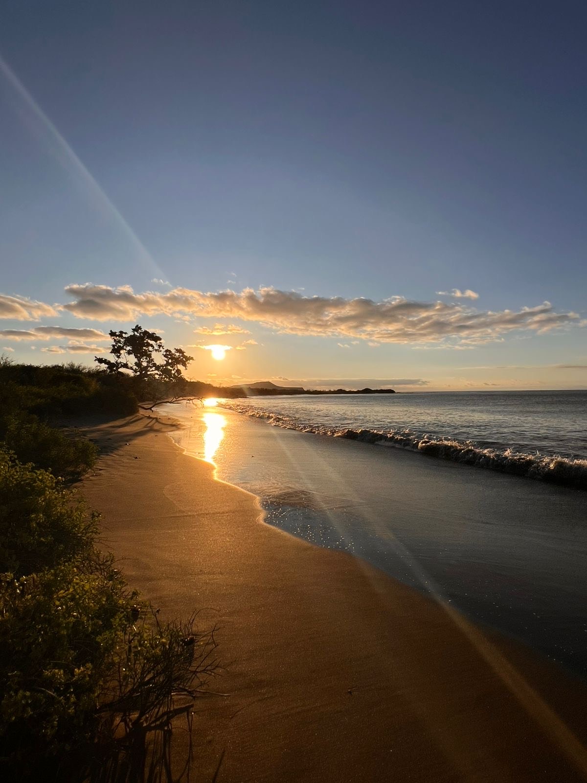 Image for Neue Welten