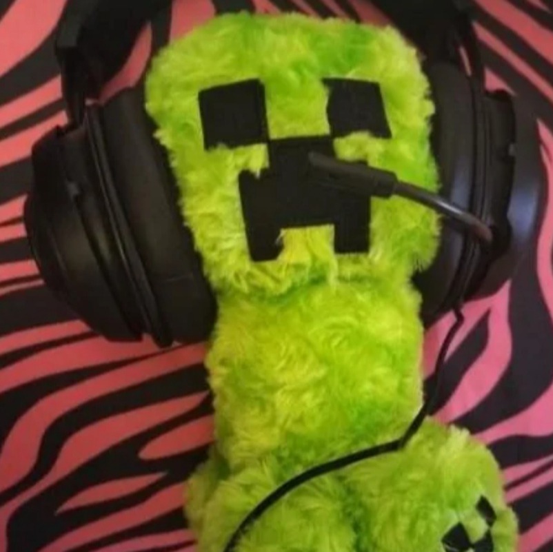 Rwpisthebestgamer