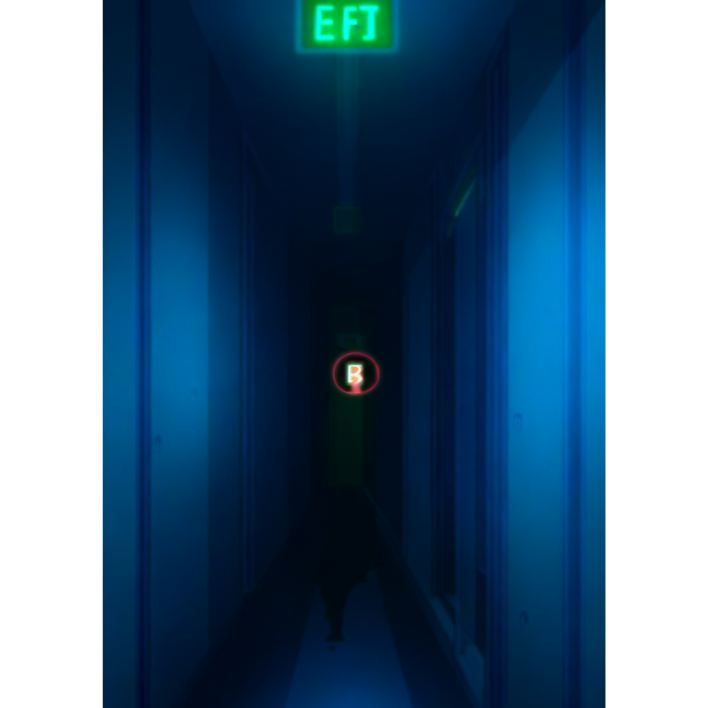 呪いの首輪 artwork