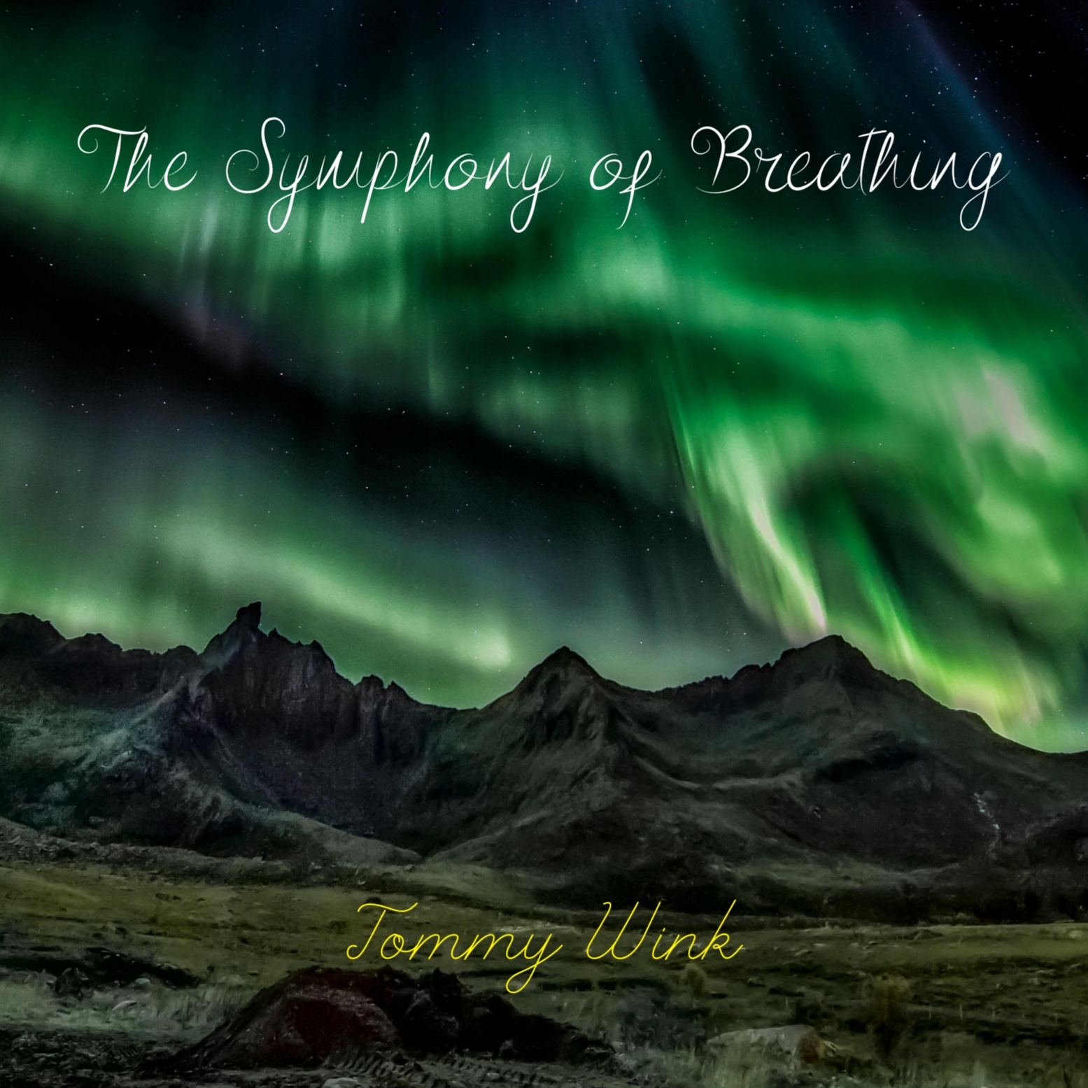 Image for Album 28; The Symphony of Breathing.