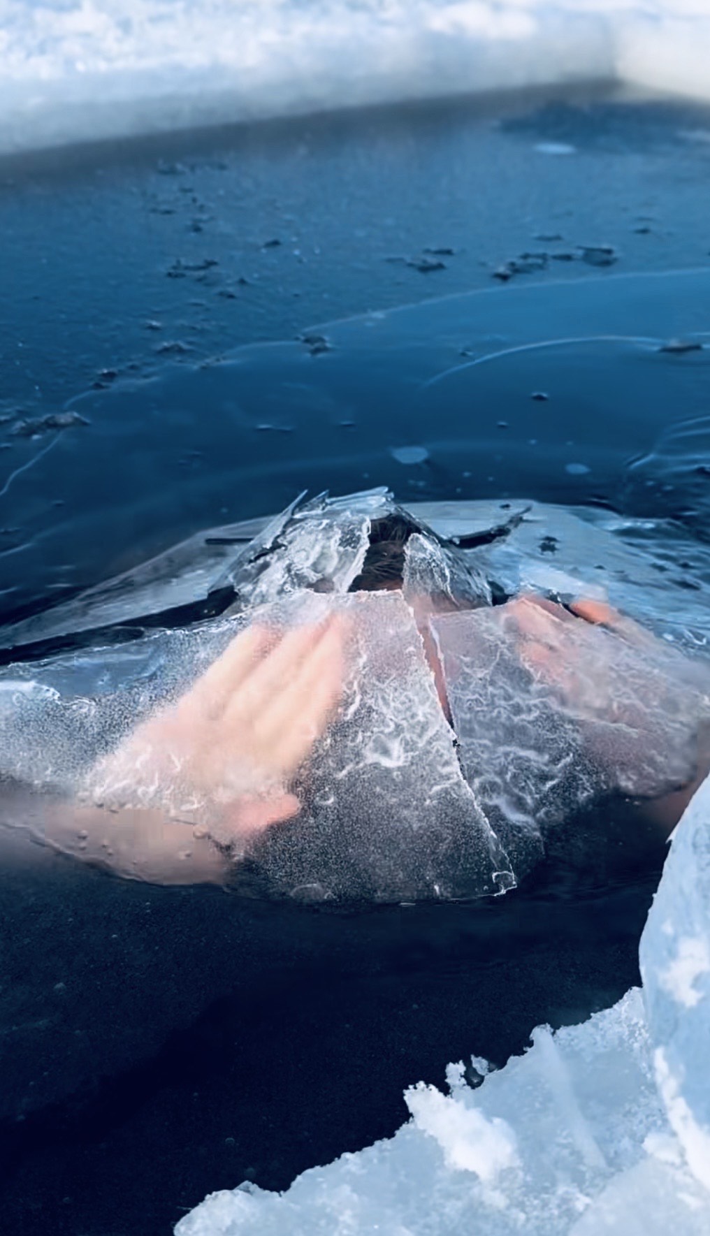 Cold Sea artwork