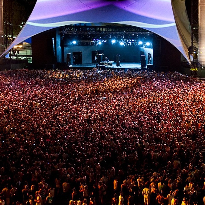 Image for The Dissidents (Live at Sunnybank 25)