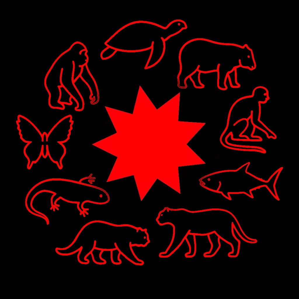 Image for Nine Points of Collapse