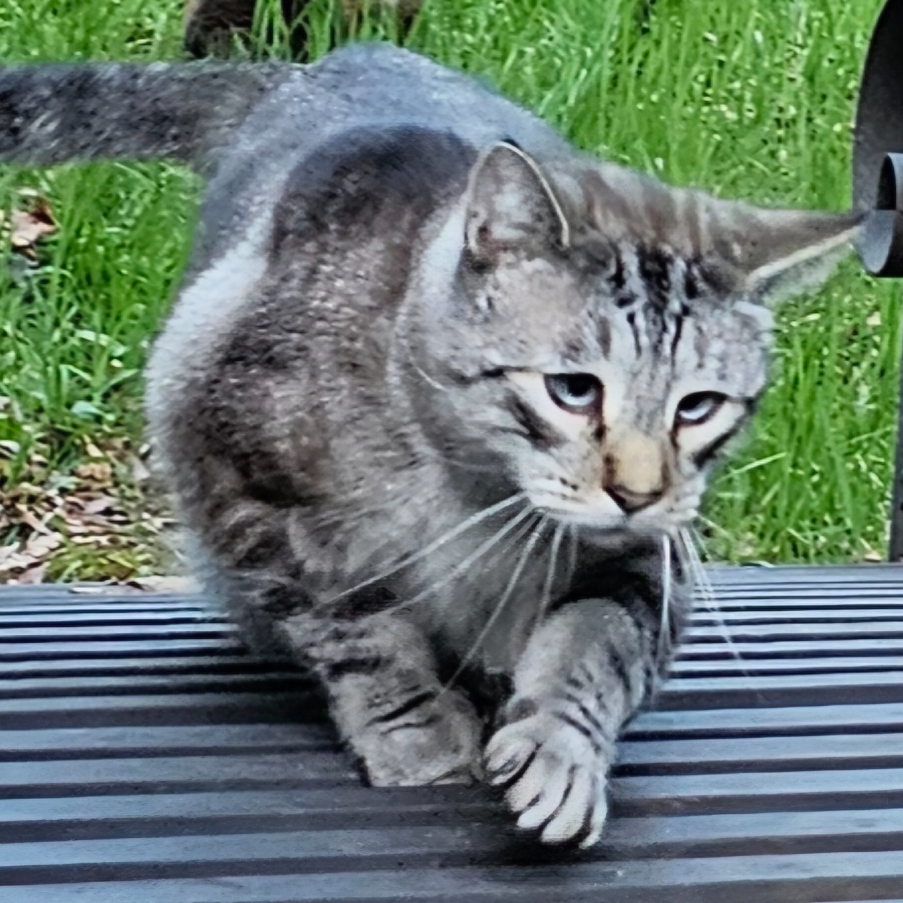 Image for Shyla's HitList-2