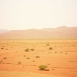 Image for EARTH LAMENT