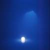 Abyss