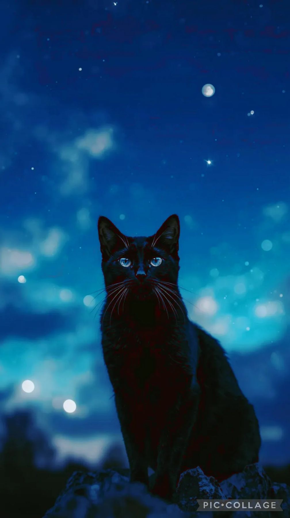 Image for Black Cat Healing Nights – Calm Instrumental BGM
