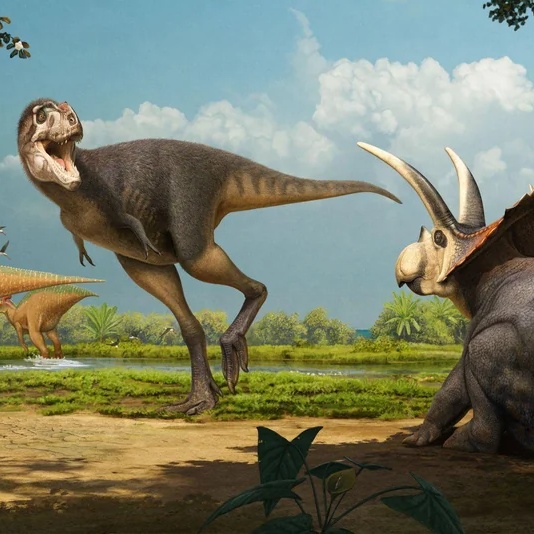 Persona image for Coahuila