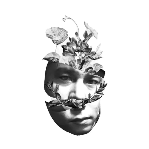 Profile picture for PiPi