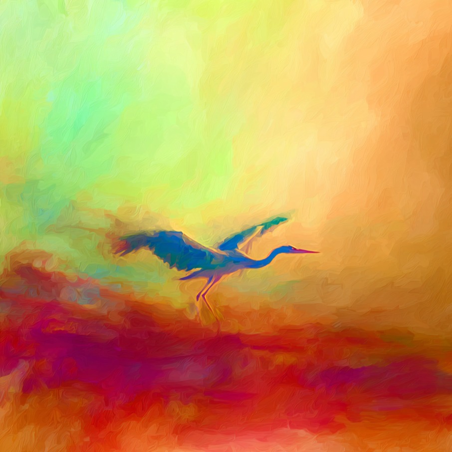 La Cicogna 鸛 artwork