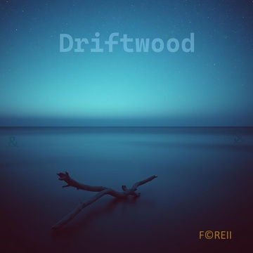 Image for Driftwood