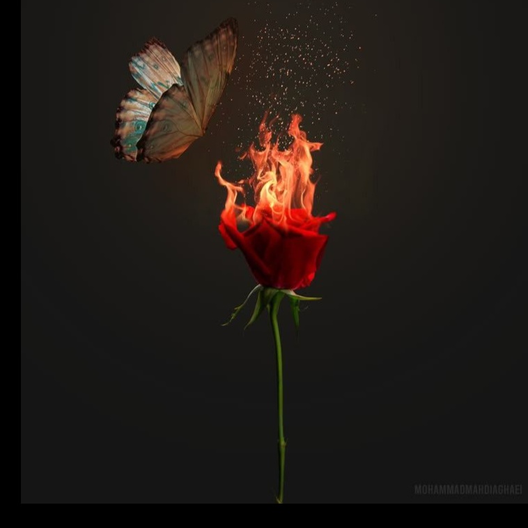 Fire & Poison artwork