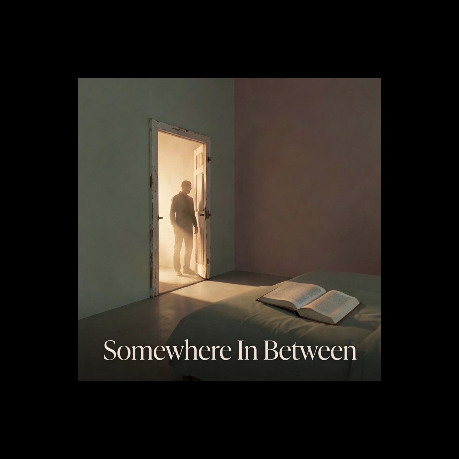 Somewhere In Between artwork