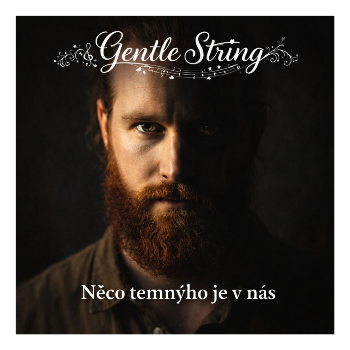 Něco temnýho je v nás artwork