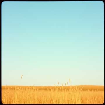 Image for Беларуская мова