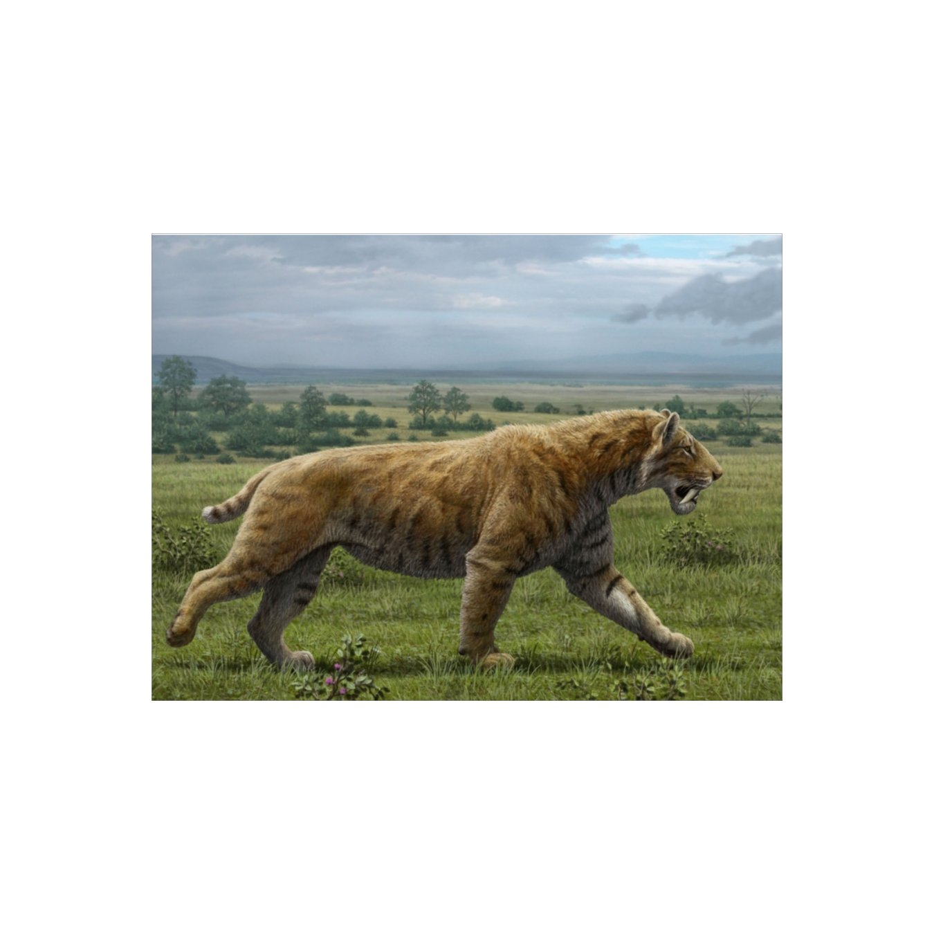 Image for Näyteluku. Ensin takapero-kaaoksena, sitten sama etuperin.