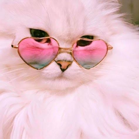 Image for Viral is real