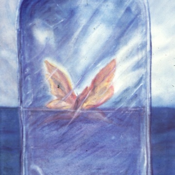 Image for Drowning the Butterfly -Album