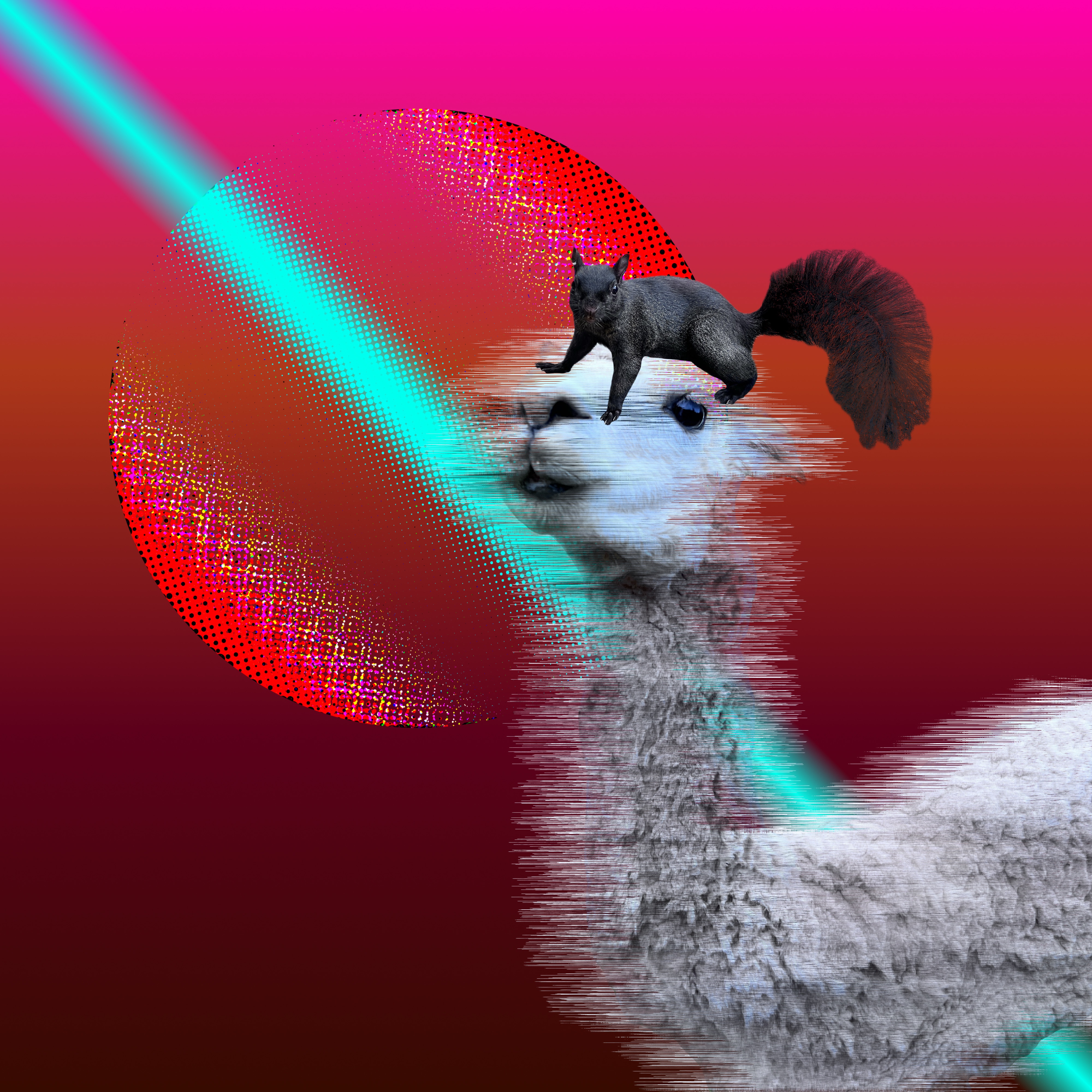 Le chat pis l'écureuil (Cover) (Cover) (Cover) (Cover) artwork