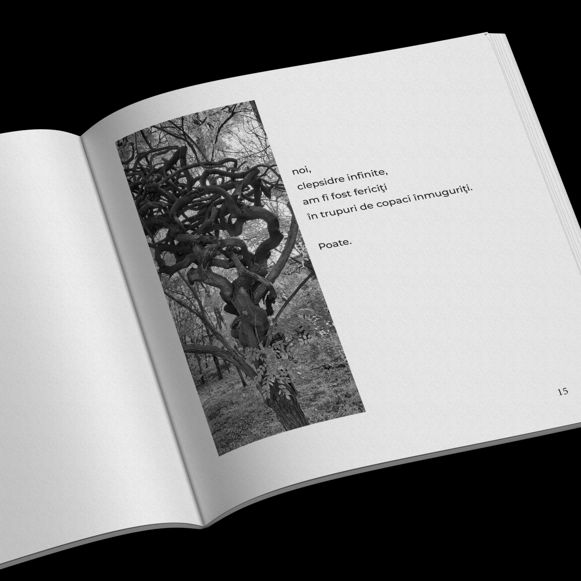 Lianele lumii, poem by Daniela Marin artwork