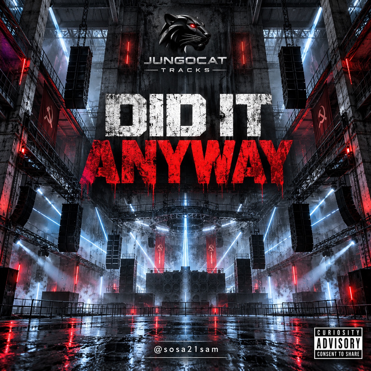DID IT ANYWAY artwork