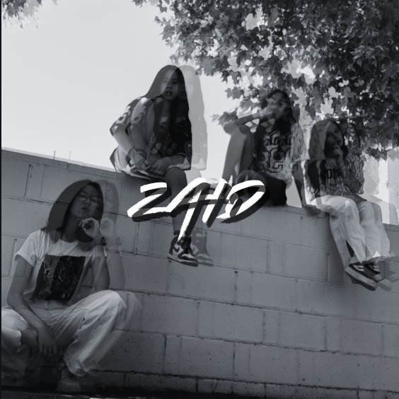 Image for All ZAID songs