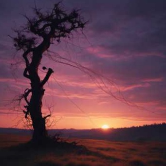 Image for My Personal Favourites