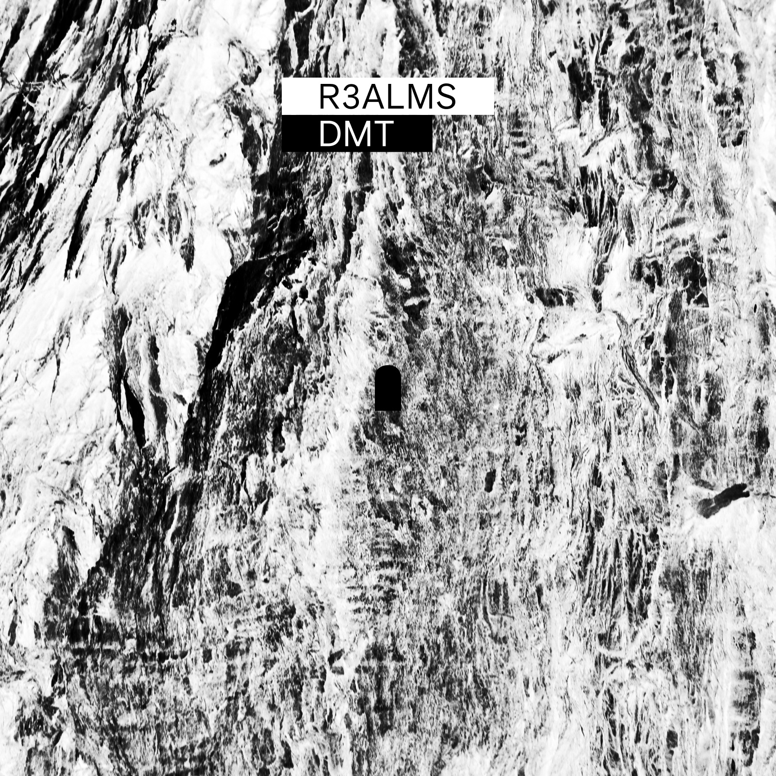 Image for R3ALMS: DMT