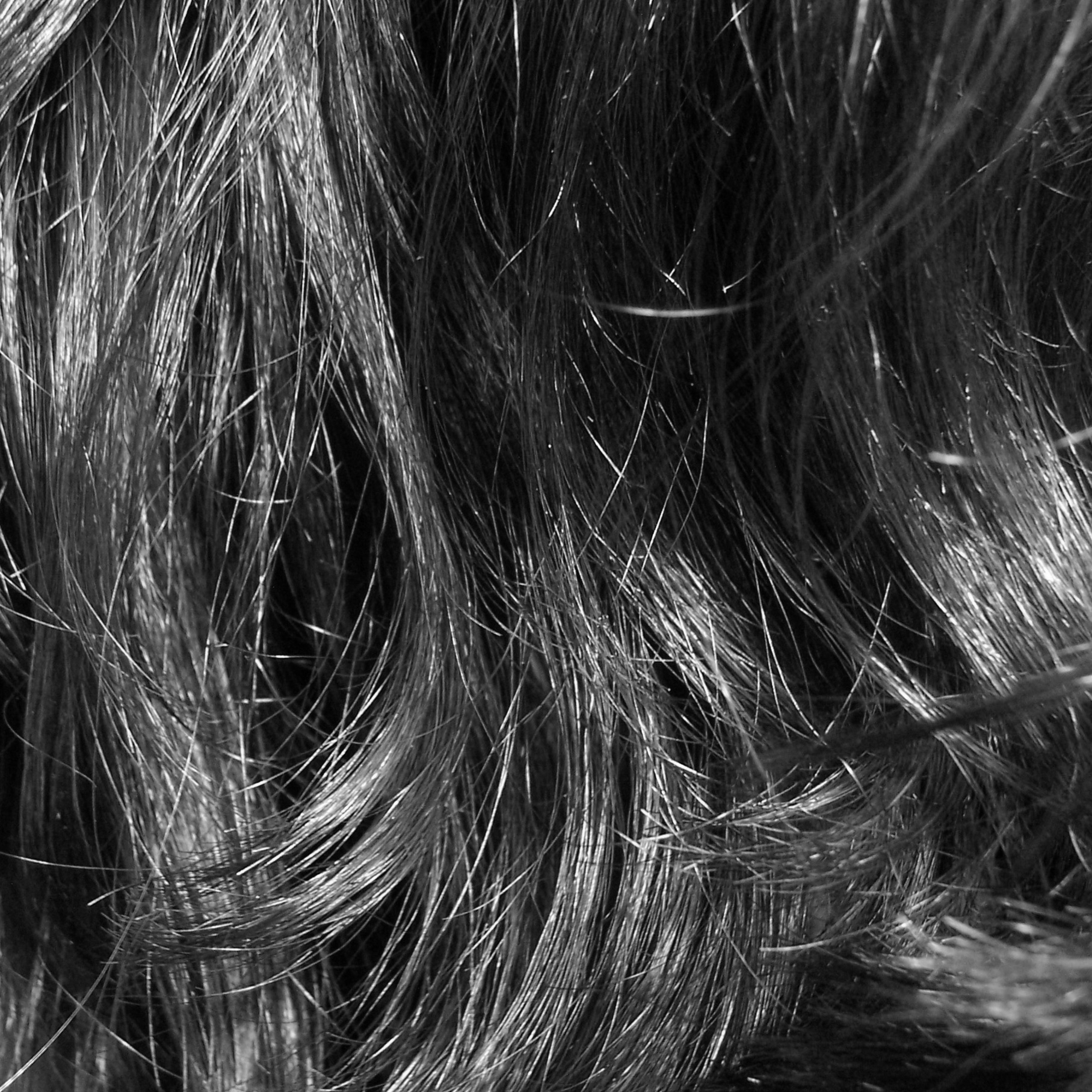 Los Pelos de Mi Culo