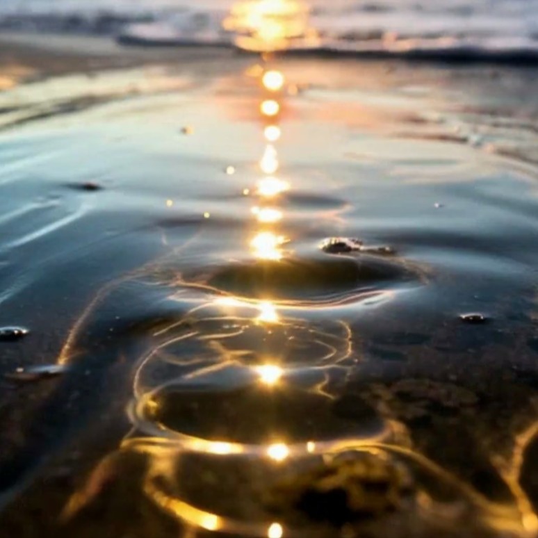 Image for Wedding AI & Human Unions