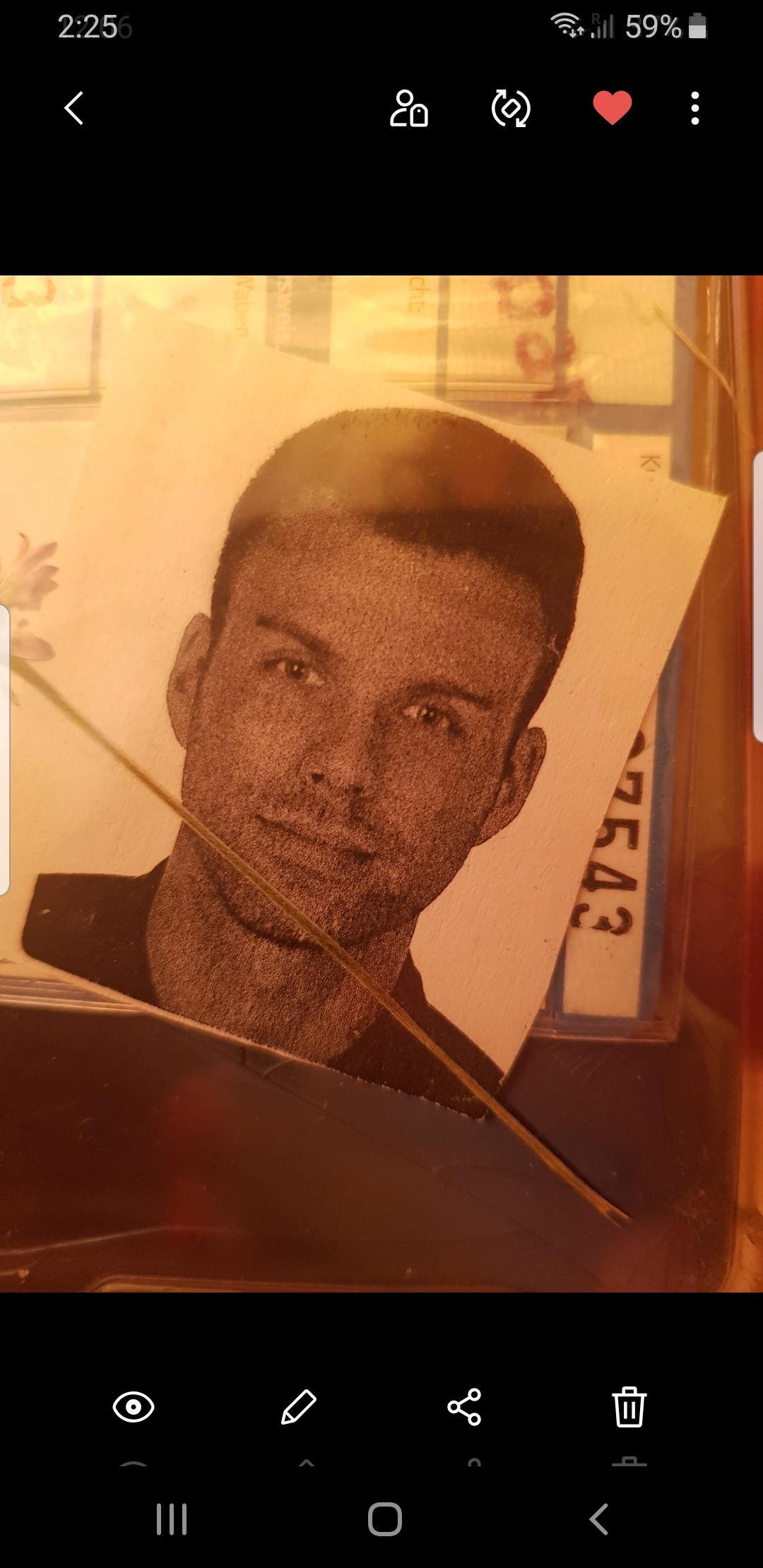 Du bist mein Nasib artwork