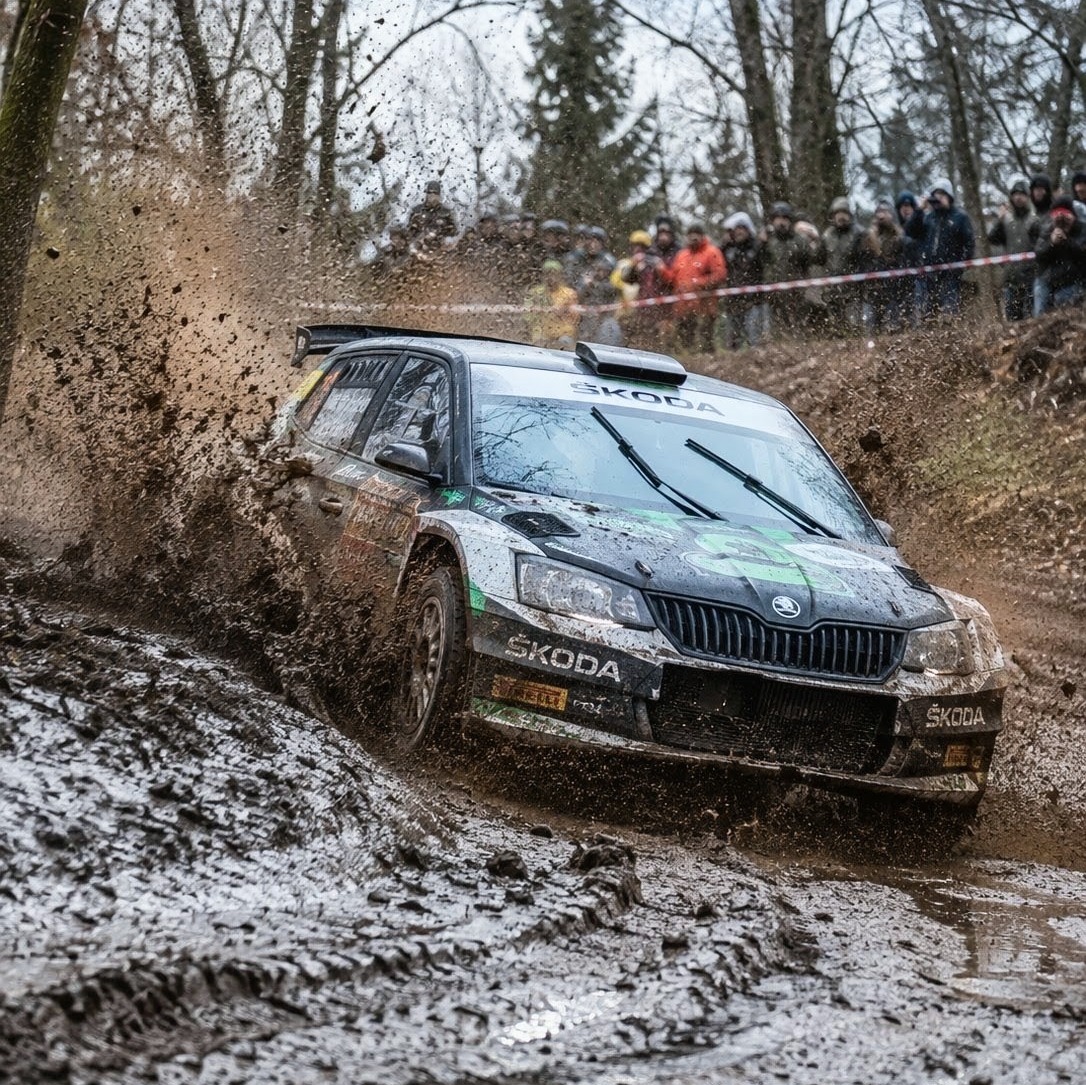 DIRT Rally artwork