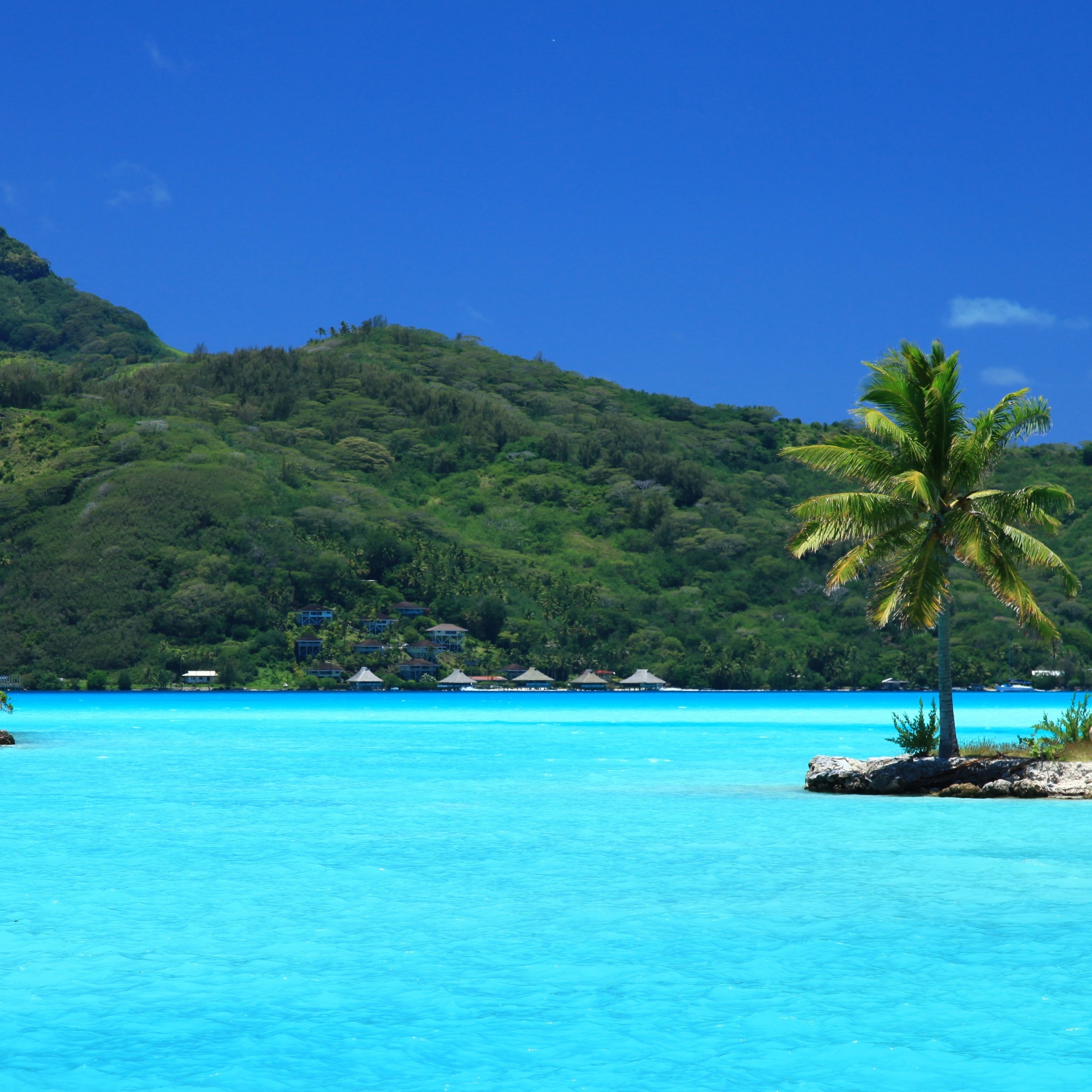 Image for mobile 10/28