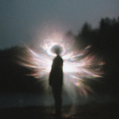 Image for Halo's Journal