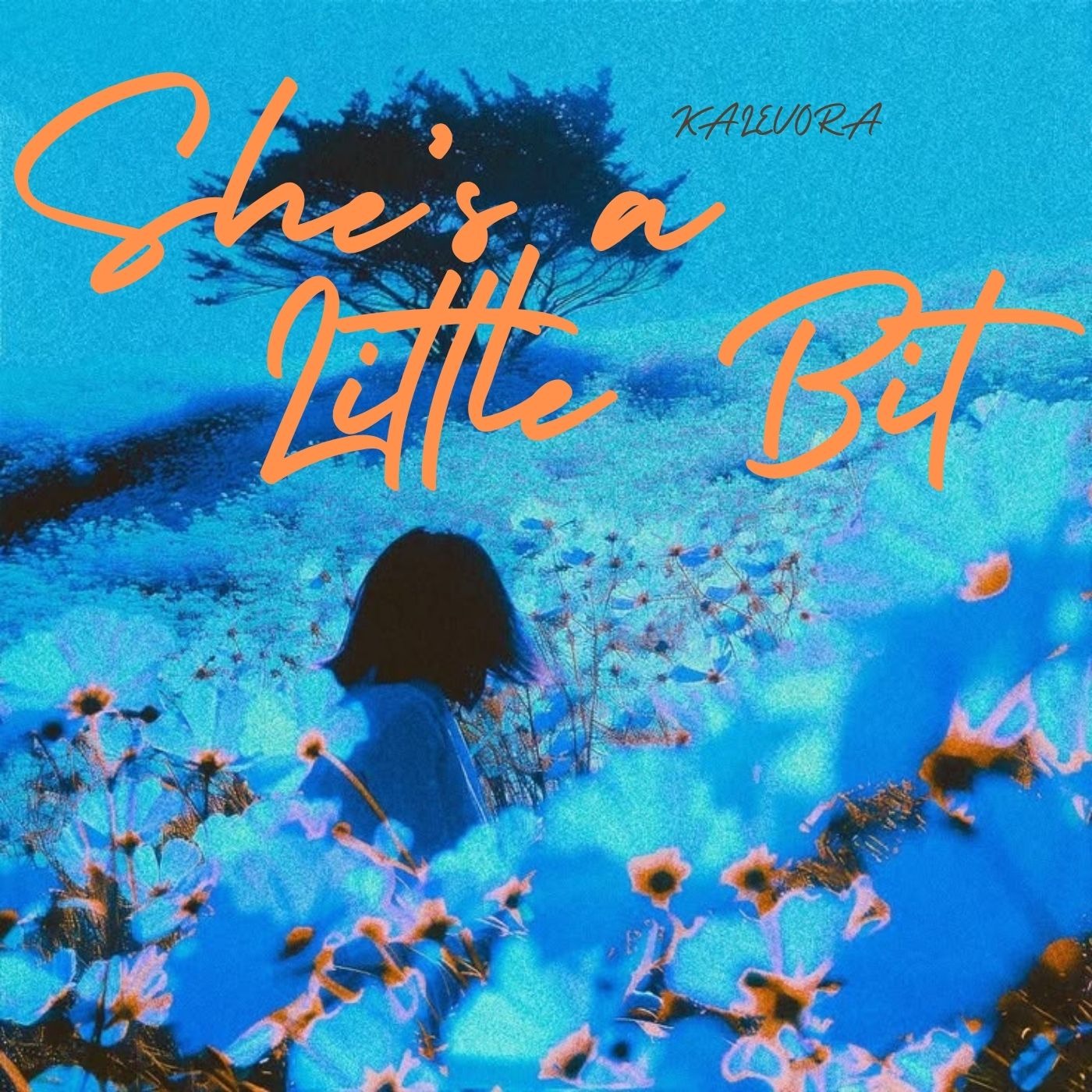 She's A Little Bit artwork