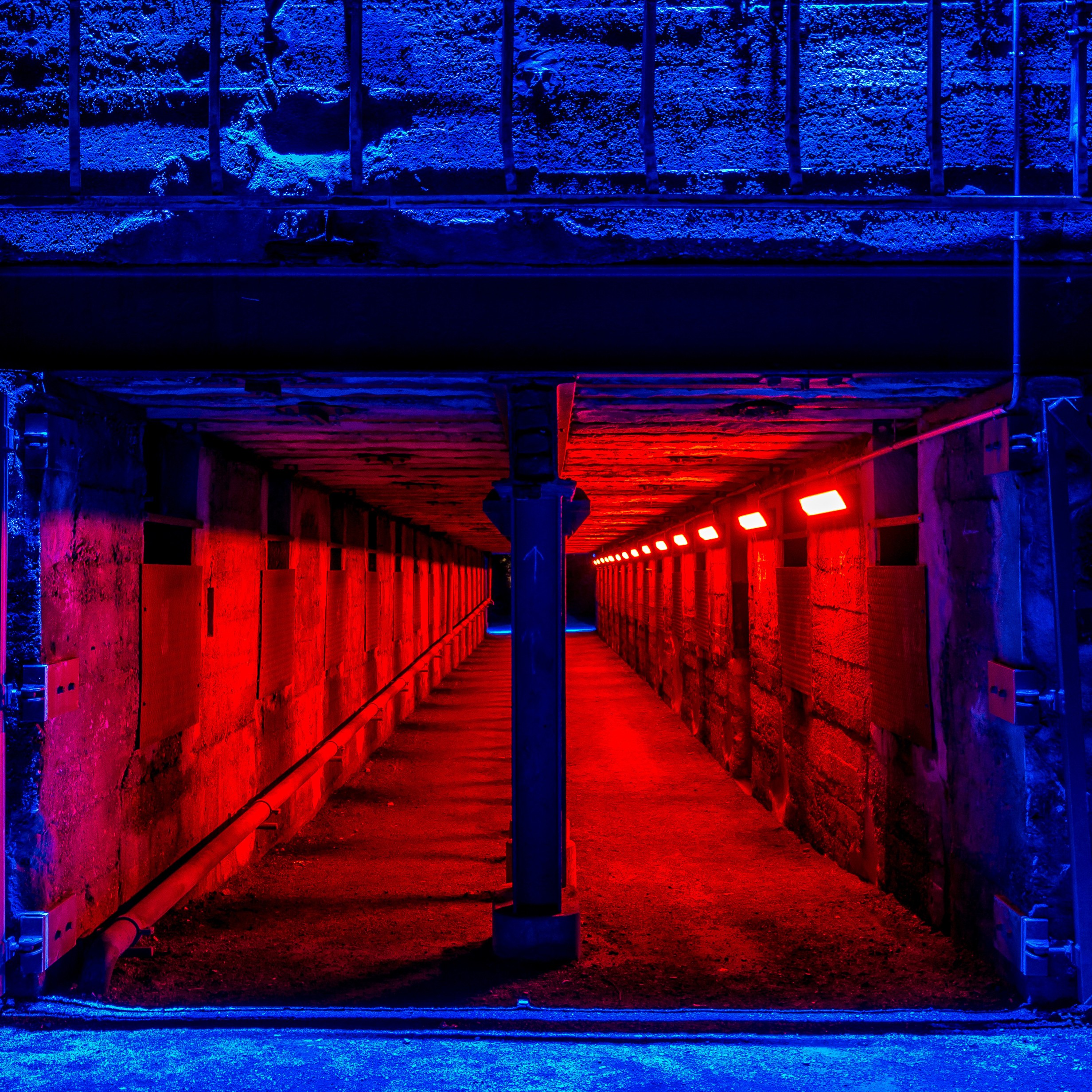 Unter der blauen Haut artwork