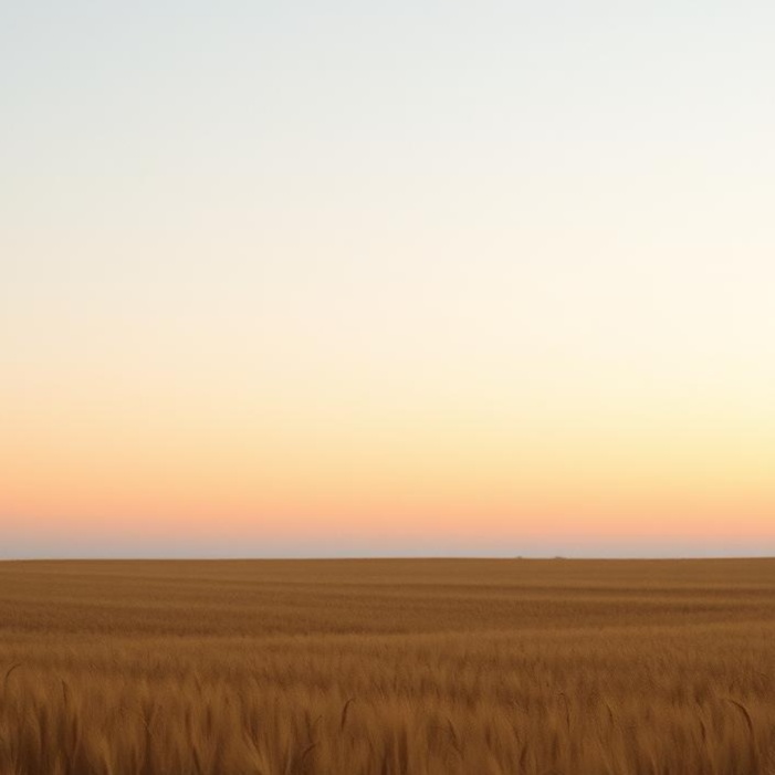 Image for Book of Longing