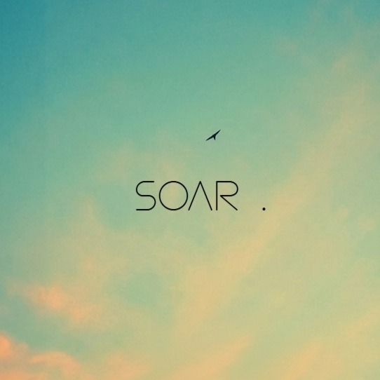Soar . artwork