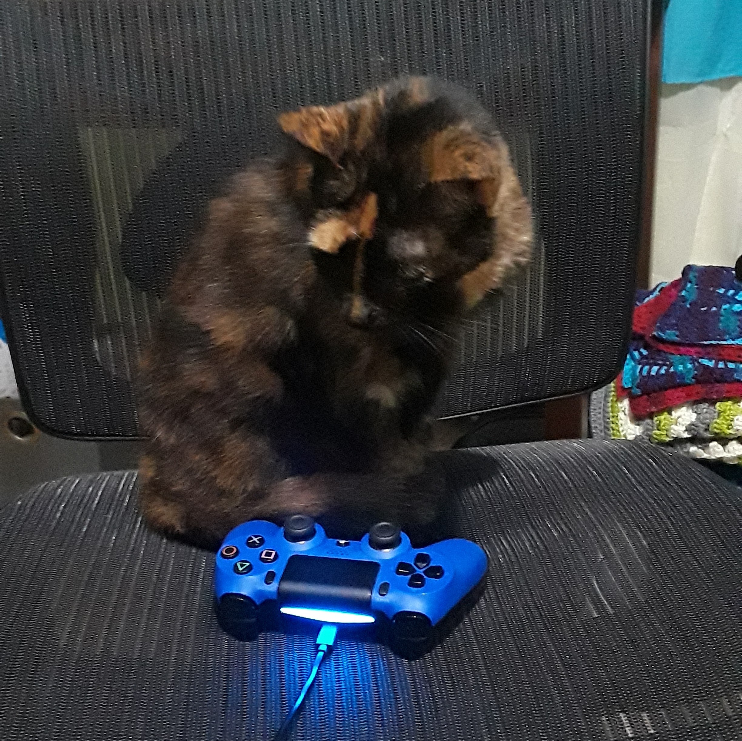 Image for Drip Test || Drop Test