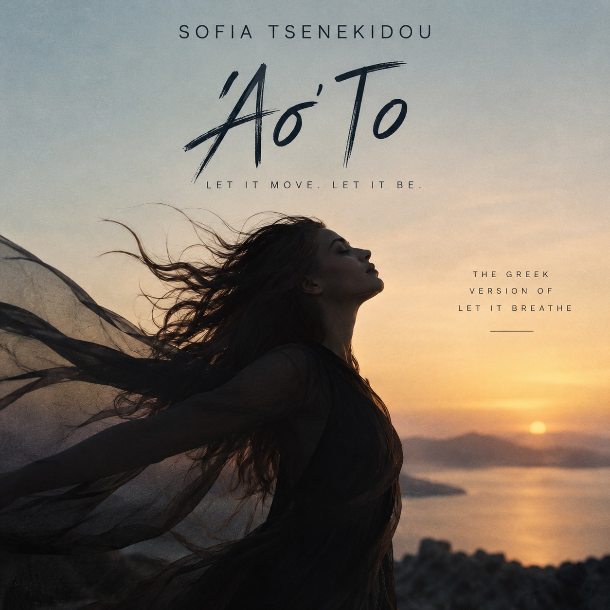 Song Cover Image